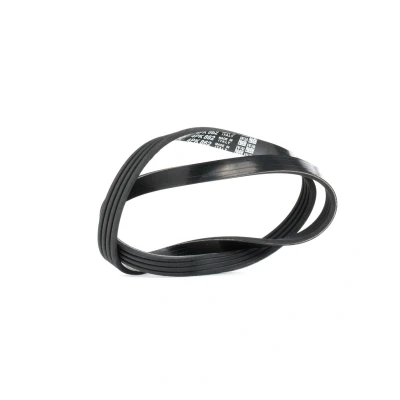 Afbeelding van Poly V riem DAYCO 4PK862