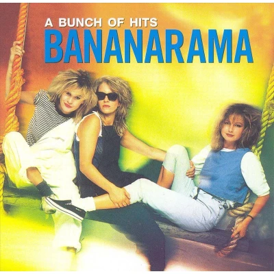 Afbeelding van Bunch of Hits