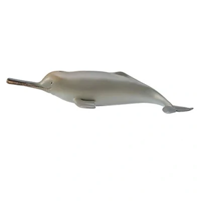 Afbeelding van COLLECTA Gangesdolfijn (M)