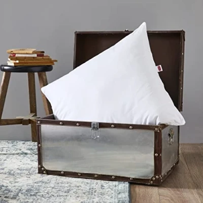 Image de Dodo 64476 calgary oreiller naturel garnissage duvet d&#039;oie et de canard/plumettes blanc 65 x cm