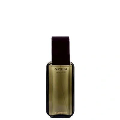 Afbeelding van ANTONIO PUIG Quorum TOILETTE WATER voor heren, 100 ml