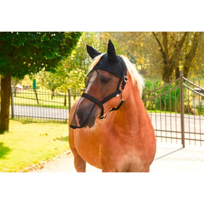 Afbeelding van Kerbl Halster met Geïntegreerd Vliegenmasker Pony