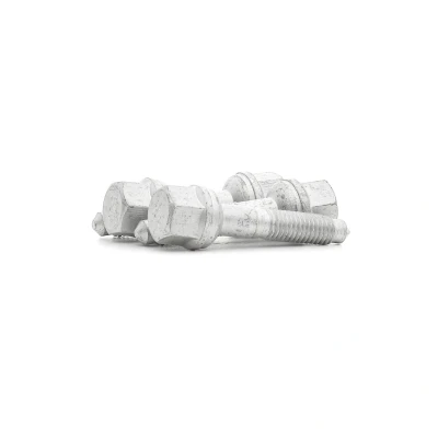 Afbeelding van DR.MOTOR AUTOMOTIVE DRM01142S Schroef, inspuitstukhouder CITROËN: C3 I Hatchback