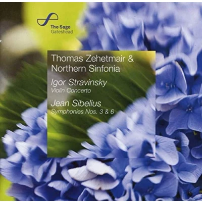 Afbeelding van Zehetmair/Northern Sinfonia Violin Concerto/Symphony No.6 (CD)