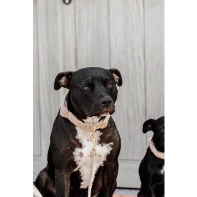 Afbeelding van Kentucky Halsband Teddy Fleece Beige 45 75cm