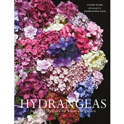 Afbeelding van Hydrangeas