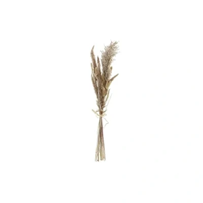 Afbeelding van Boeket DKD Home Decor Droog Beige Bruin Gedroogde bloem (12 x 3 53 cm)