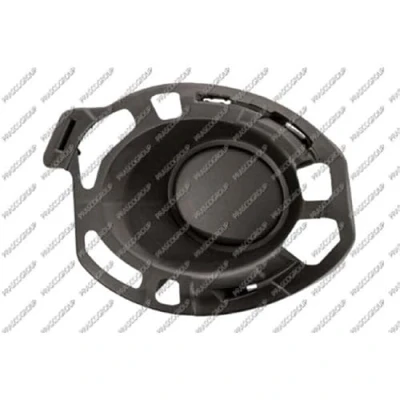 Afbeelding van PRASCO RN3272114 Bumper Grill Zonder gat(en) voor mistlampen Links RENAULT: CLIO 3