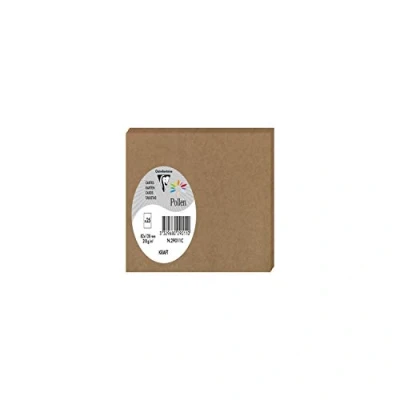 Afbeelding van Clairefontaine 29011C 25 pollen kaarten, 8,2 x 12,8 cm, 210 g, kraftpapier, bruin