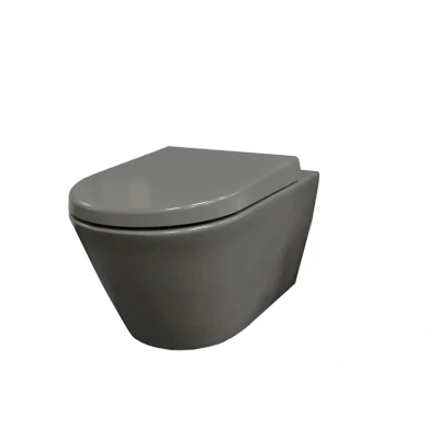 Afbeelding van Wiesbaden Stereo wandcloset rimless met Vesta toiletzitting softclose en quick release mat grijs