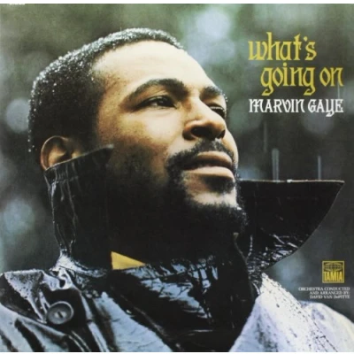 Afbeelding van Marvin Gaye What&#039;s Going On (Live) (CD)