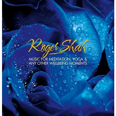 Afbeelding van Music For Meditation. Yoga &amp; Any Other Wellbeing Moments