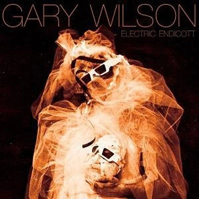 Afbeelding van Gary Wilson Electric Endicott (CD)