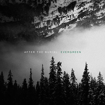 Afbeelding van After the Burial Evergreen (LP)