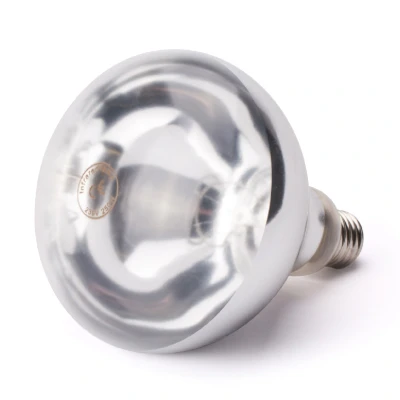 Afbeelding van Hendi Infrarood Warmtelamp Wit E27 250W