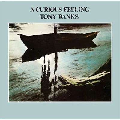 Afbeelding van Tony Banks A Curious Feeling (LP)