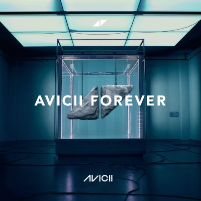 Afbeelding van Avicii Forever (2 LPs)
