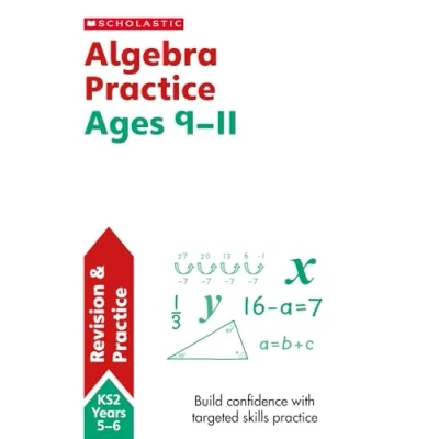 Afbeelding van Algebra Ages 10 11
