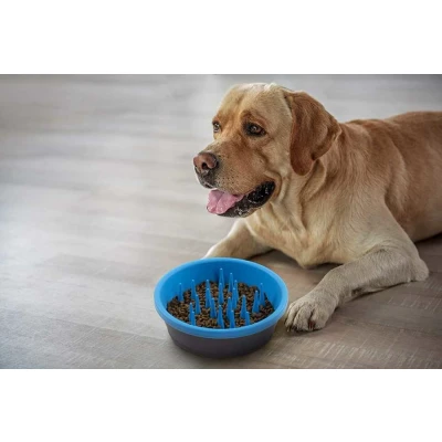 Afbeelding van Dexas Anti Schrok Voerbak Slow Feeder Blauw