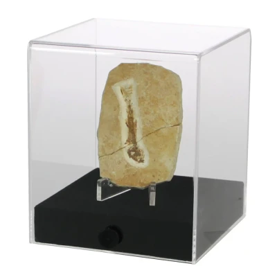 Afbeelding van Safe Safe, Acryl, Presentatie Kubus afm: 100x100x120 mm. per st.