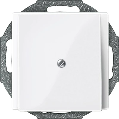 Afbeelding van Merten 296319 Afdekking System M Polar wit