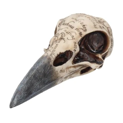 Image de Crâne de corbeau d&#039;Edgar
