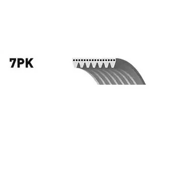 Afbeelding van SNR CA7PK2711 Multiriem 2711 7 FORD: Transit Mk6 Platform / Chassis, Van, Mk5 Chassis