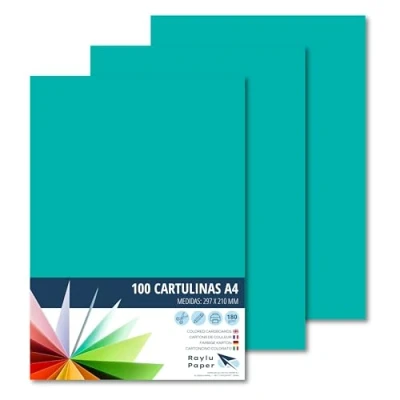 Afbeelding van Raylu Paper® 100 stuks groene A4 kaarten 180 g 210 x 297 mm ideaal voor binden, kantoorwerk, tekenen, schoolvriendelijk karton (mintgroen)