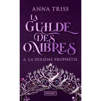 Afbeelding van LA GUILDE DES OMBRES,6:LA DIXIEME PROPHETIE