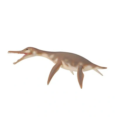 Afbeelding van Collecta 3388520 Figuur Dinosaurus Voorgeschiedenis Dolichorhynchops