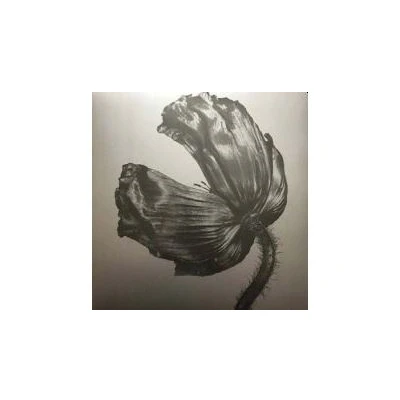 Image de Plg Uk Cat Pet Shop Boys : Release (remastered) Lp