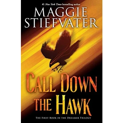 Afbeelding van Call Down the Hawk (Dreamer Trilogy, Book 1), Volume 1