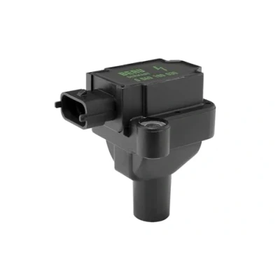 Afbeelding van BERU ZS030 Bobine 12