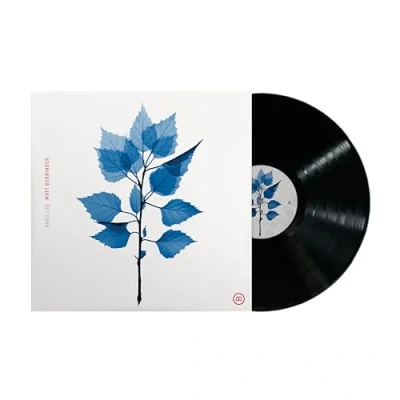 Afbeelding van Matt Berninger Get Sunk (LP)