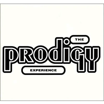Afbeelding van Prodigy Experience