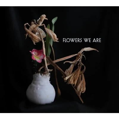 Afbeelding van Flowers We Are (CD)
