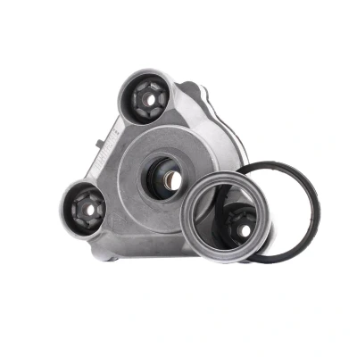 Afbeelding van Sachs Veerpoot lager rep.set 802 409