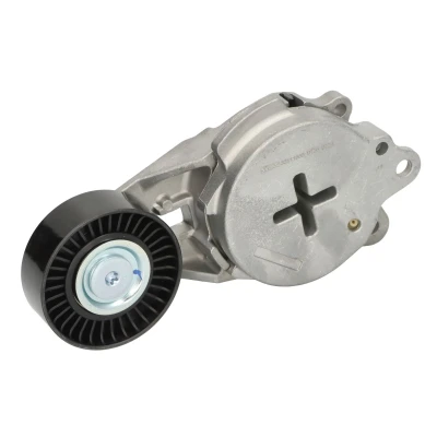 Afbeelding van SWAG 33 11 1665 Riemspanner