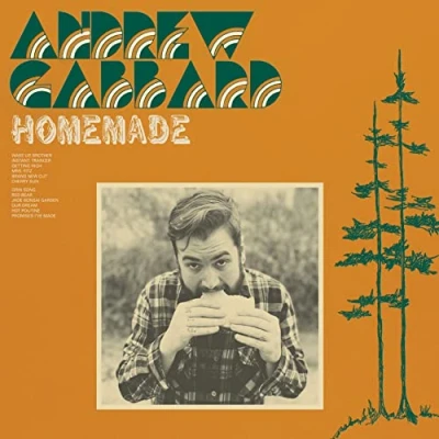 Afbeelding van Andrew Gabbard Homemade (LP)