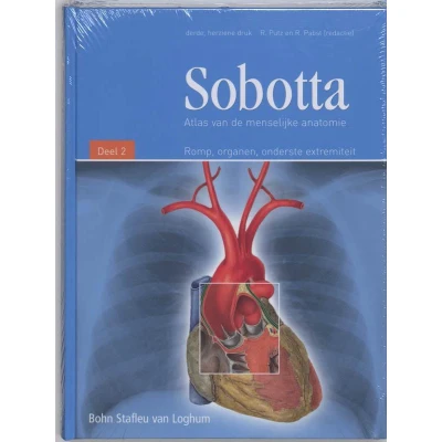 Afbeelding van Sobotta / 2 Romp, organen, onderste extremiteit