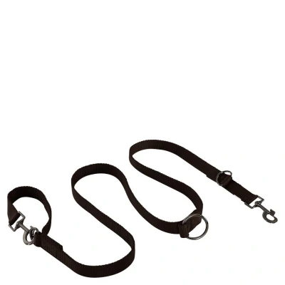 Image de BR Hondenriem Laisse pour Chien Fudge
