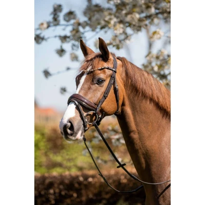 Afbeelding van HB Hoofdstel Juwel Glitter Bruin/Goud Full Agradi.be