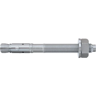Afbeelding van Fischer Bolzenanker FBZ 12/10 Plug 10 mm 12 543403 20 stuk(s)