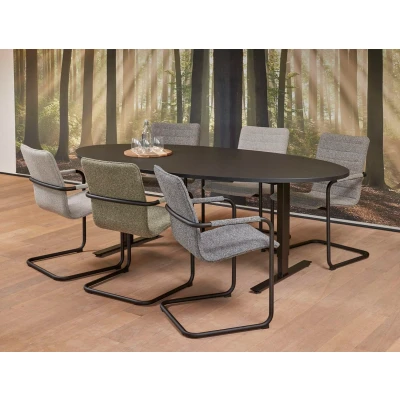 Afbeelding van Vergadertafel Teez ellips 220x110cm frame Wit (RAL9010) blad Ahorn