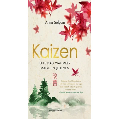 Afbeelding van Kaizen