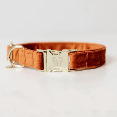 Image de Kentucky Collier velours Orange XL