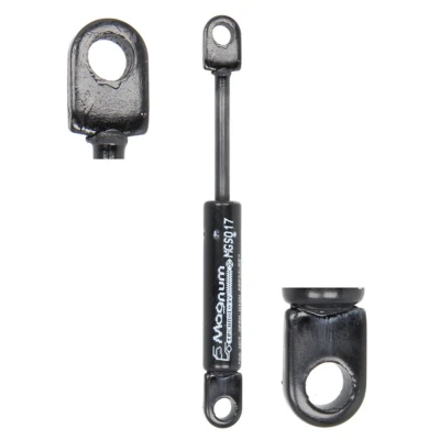 Afbeelding van Magnum Technology Gasveer, windleiplaat MGS017