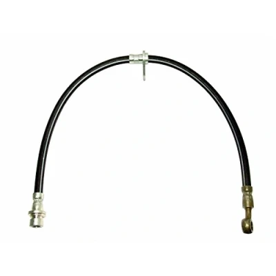 Afbeelding van DELPHI LH6376 Remslang 596 M10x1 Int SF