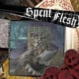 Afbeelding van Spent Flesh Deviant Burial Customs (7&quot; Vinyl Single)