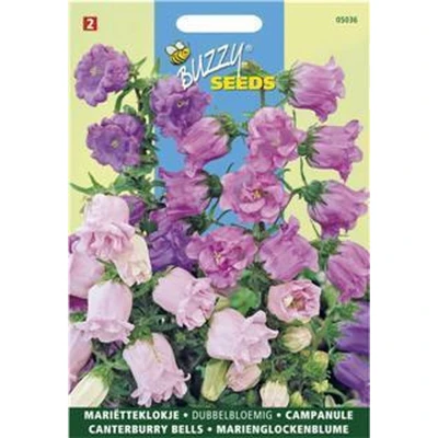 Afbeelding van Campanula medium Dubbelbloemig Buzzy